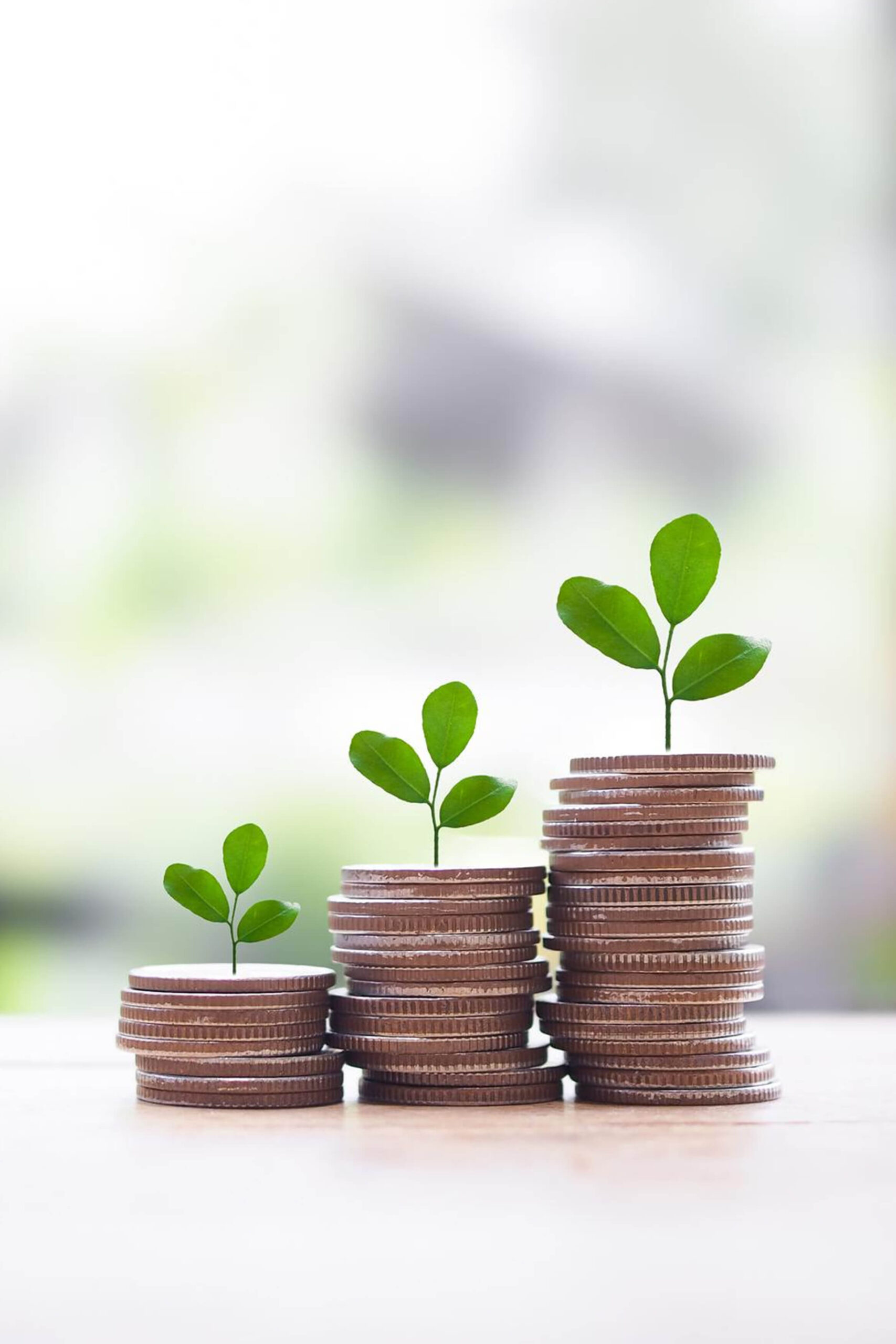 KKR investment 2019