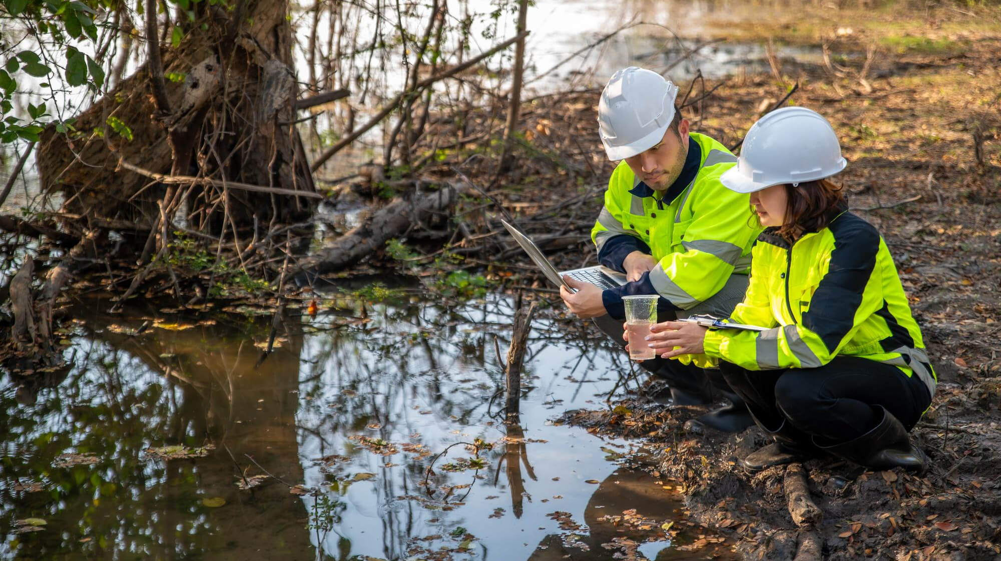 Accredited Monitoring and Reporting