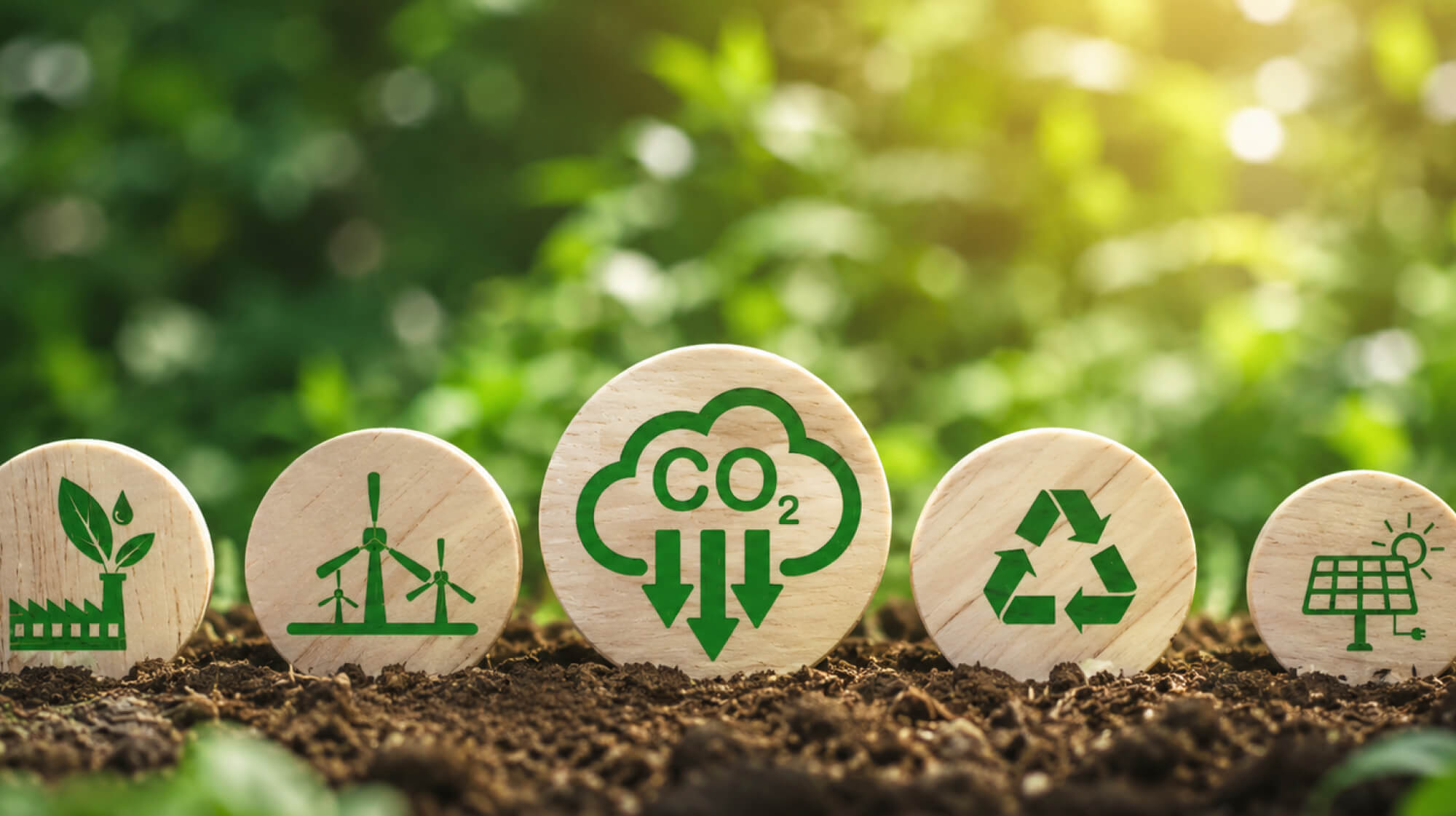 Carbon Markets and Climate Finance