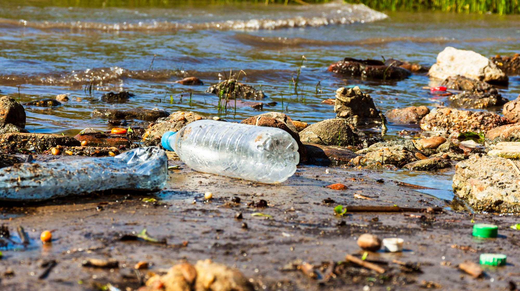 Circular Resource Recovery