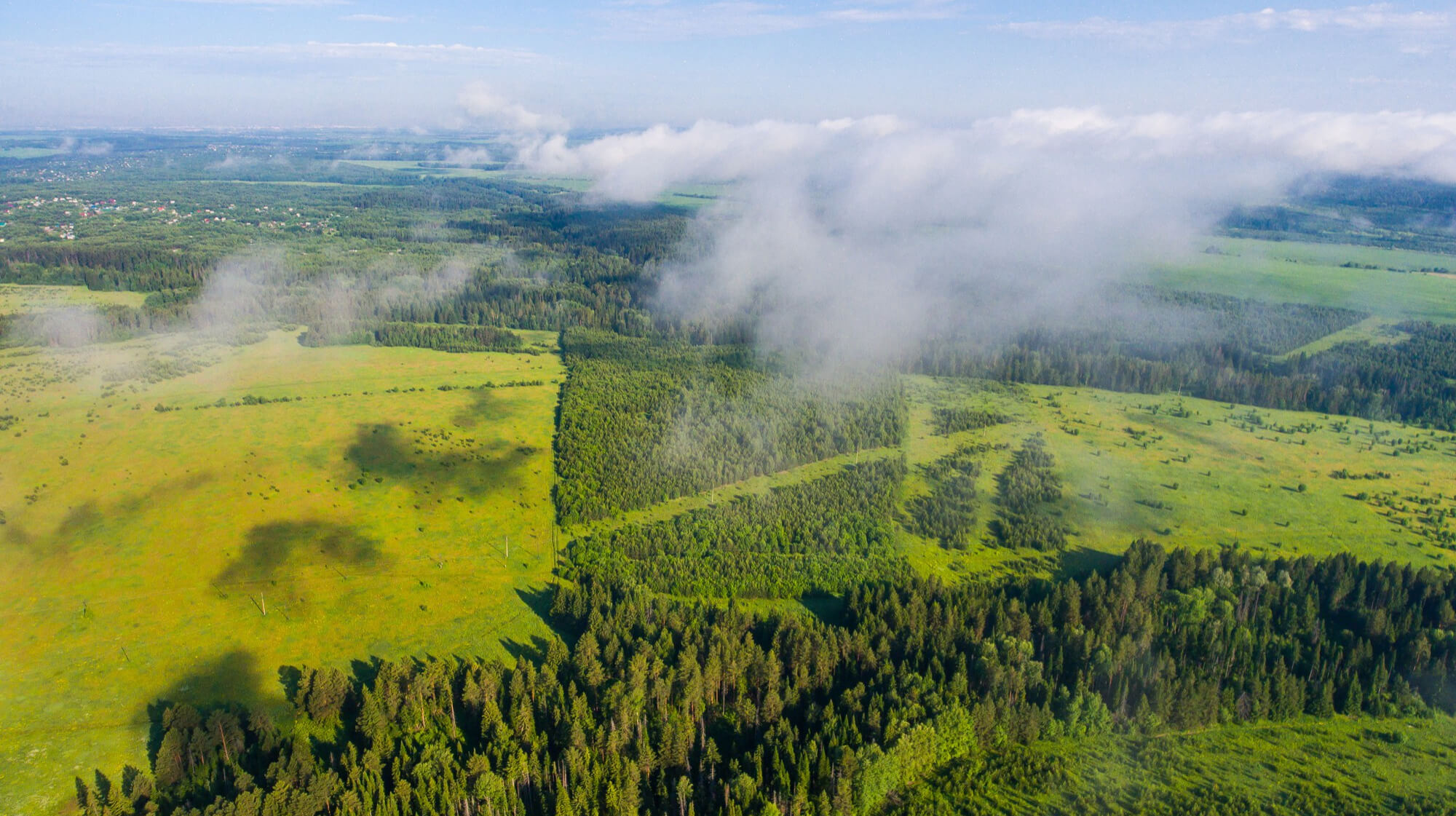Climate Resilience and Adaptation