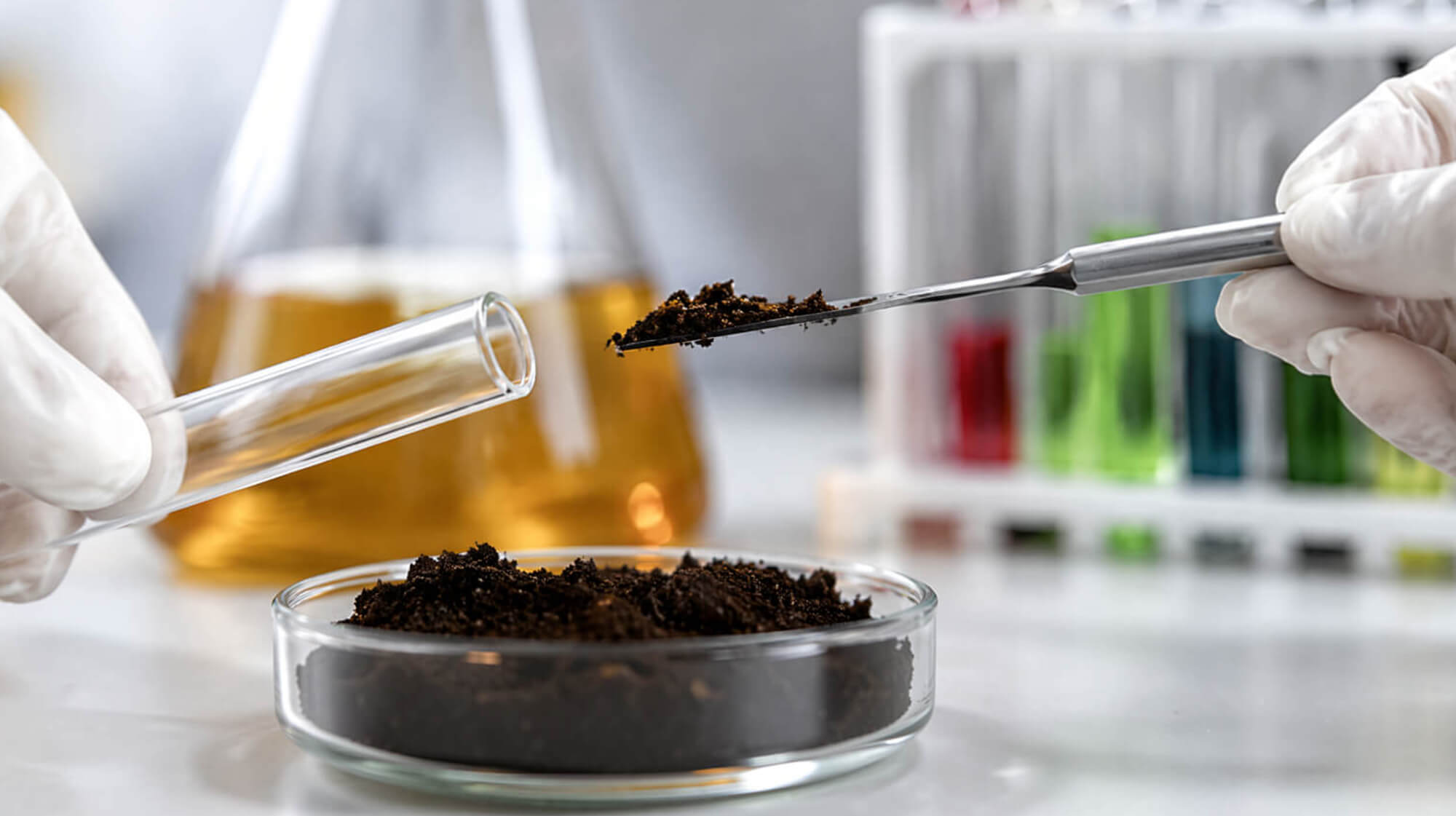 Comprehensive Sampling and Testing