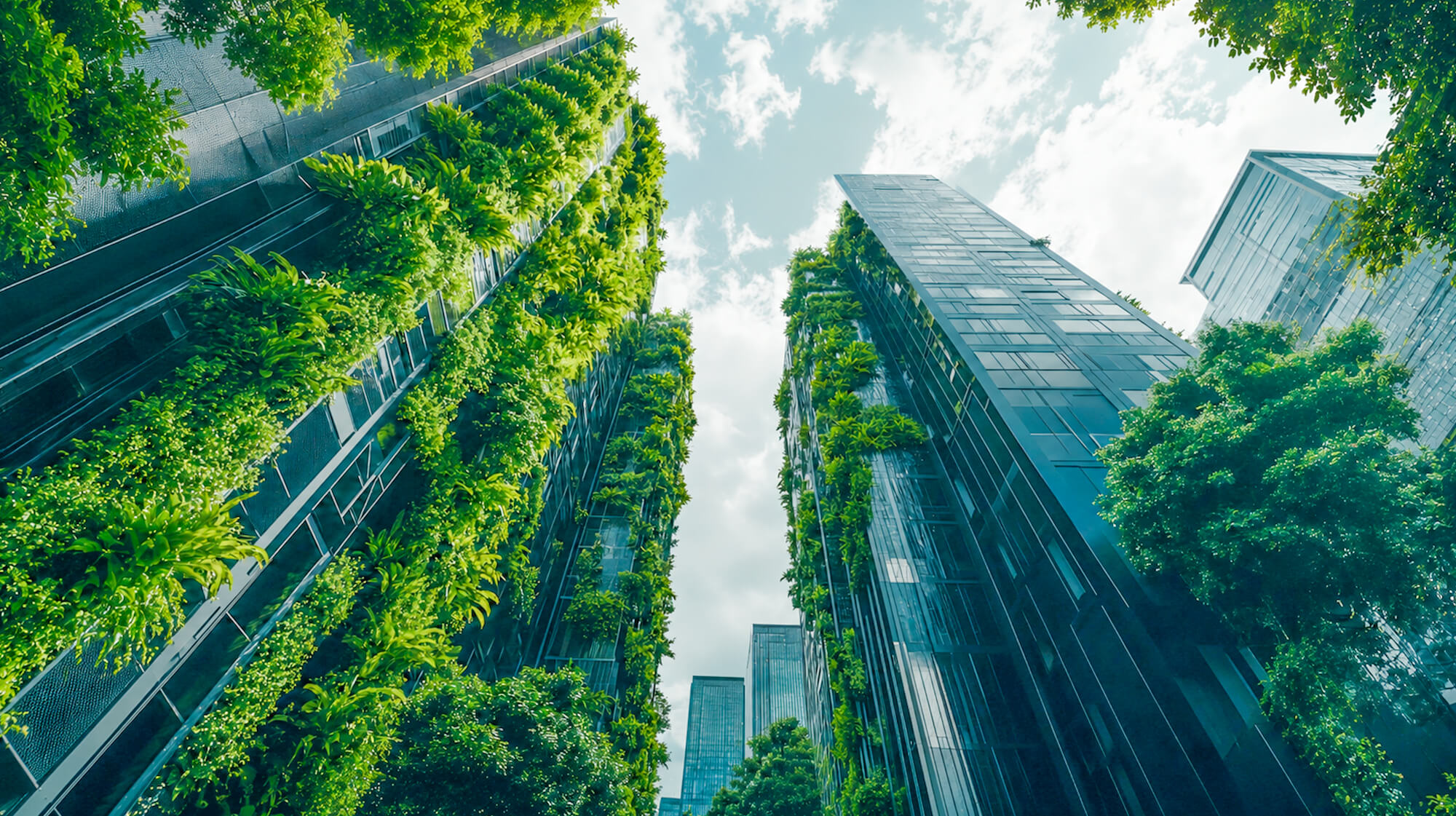 Integrated Environmental Infrastructure