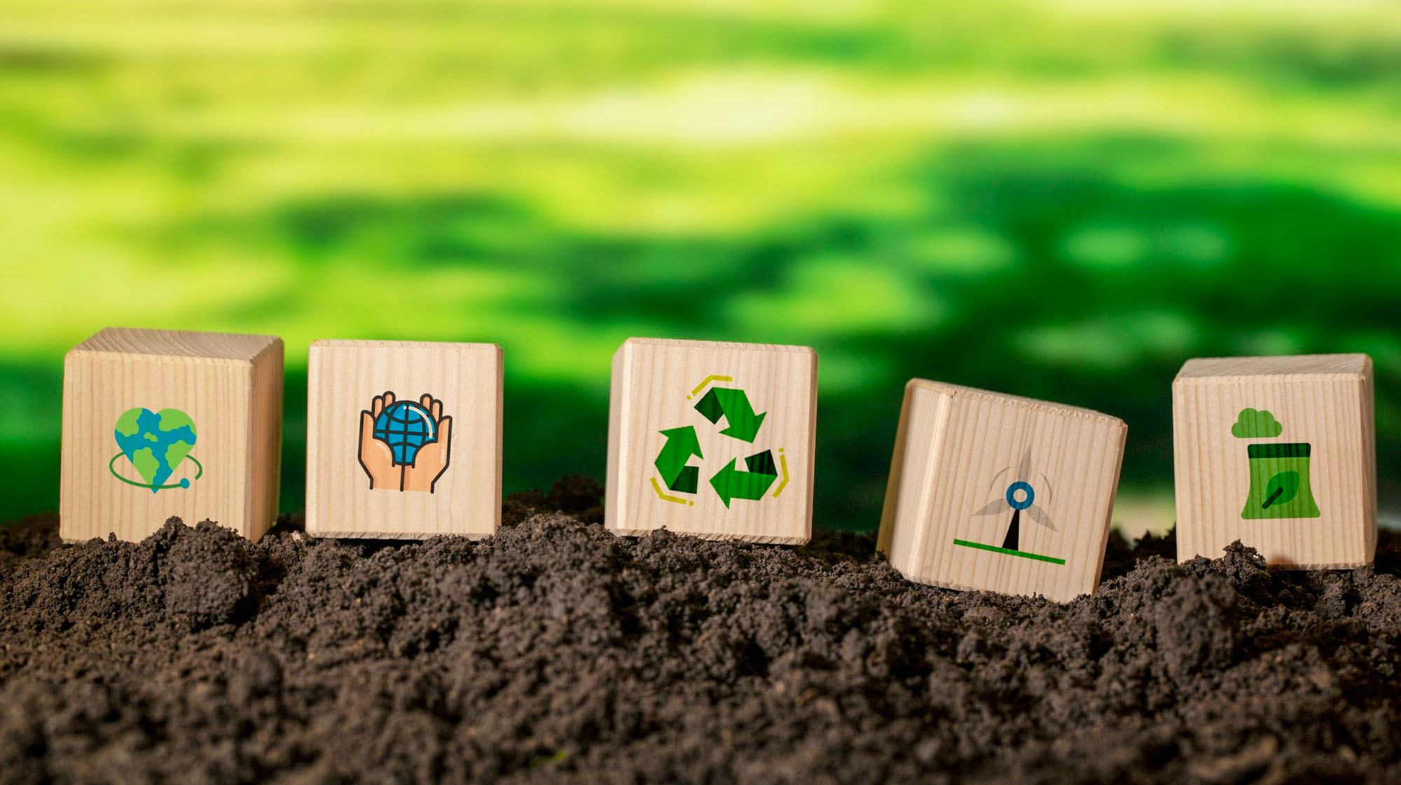 Environmental Stewardship