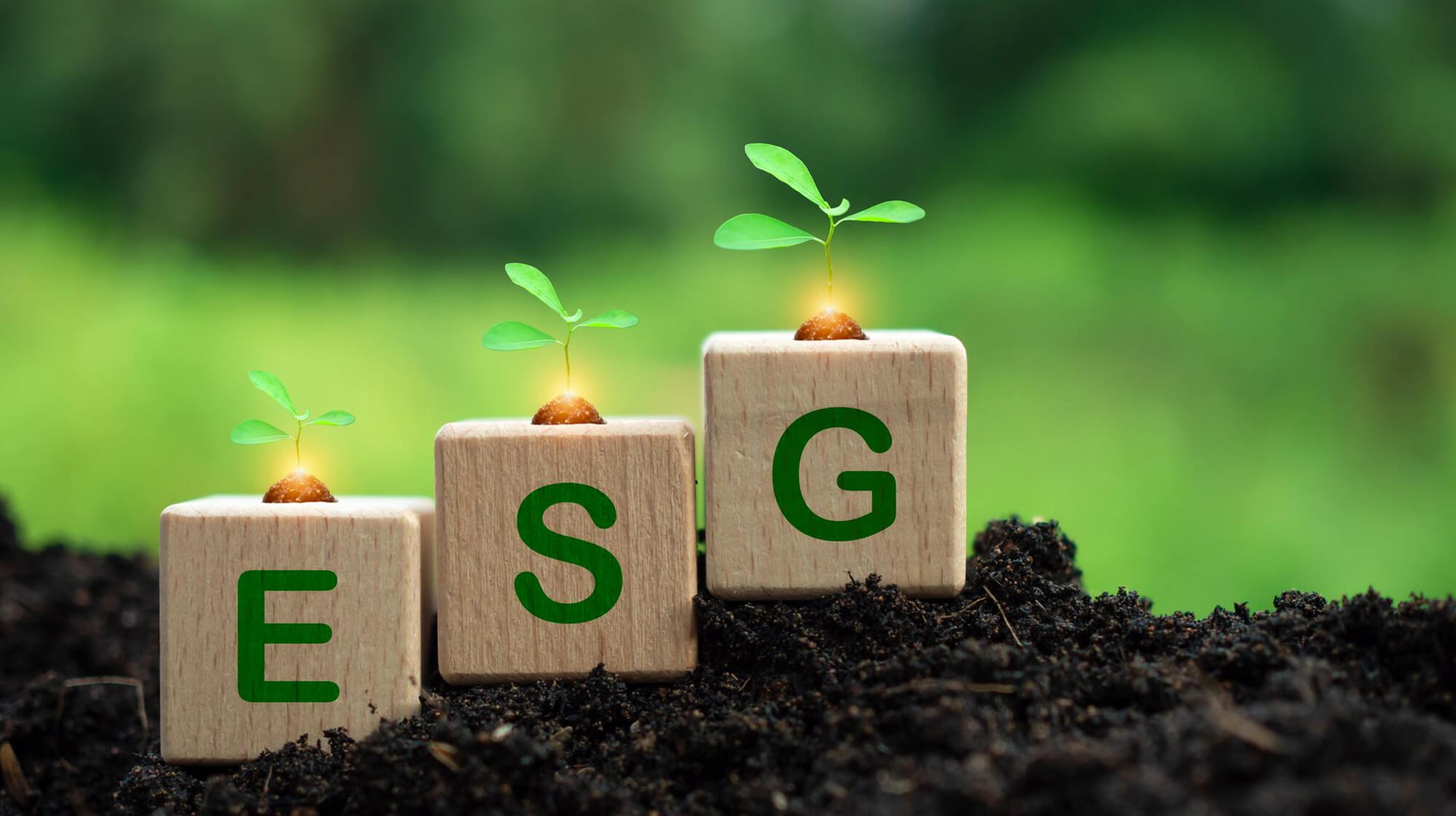 Global ESG Reporting Expertise