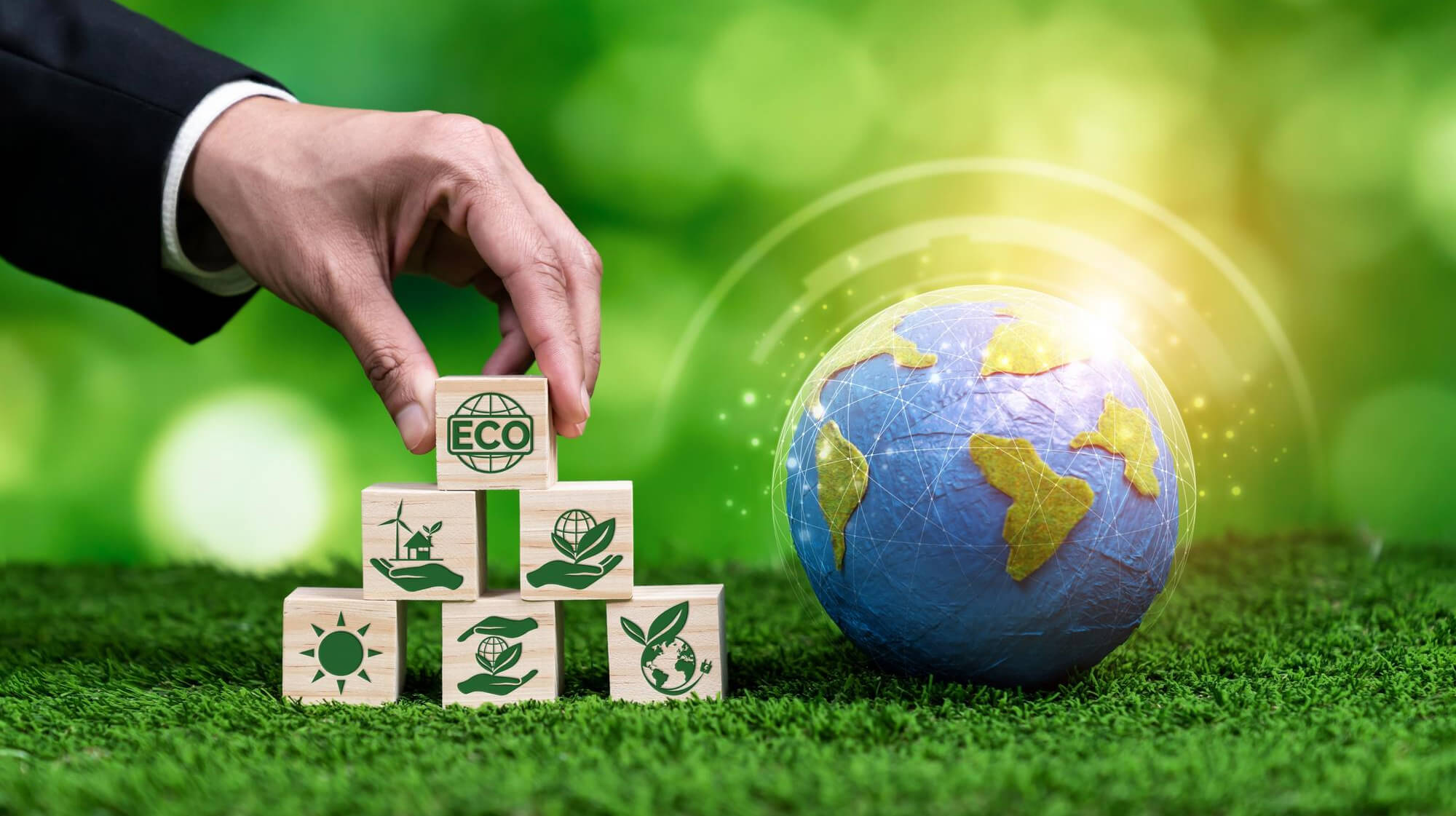 Global Standards Local Knowledge