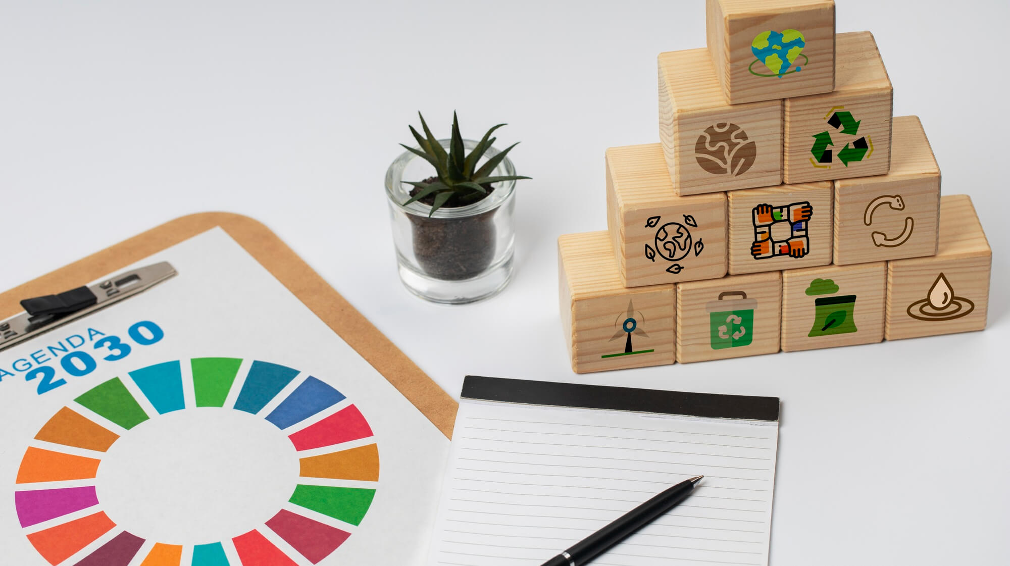 Monitoring Frameworks and Capacity Building