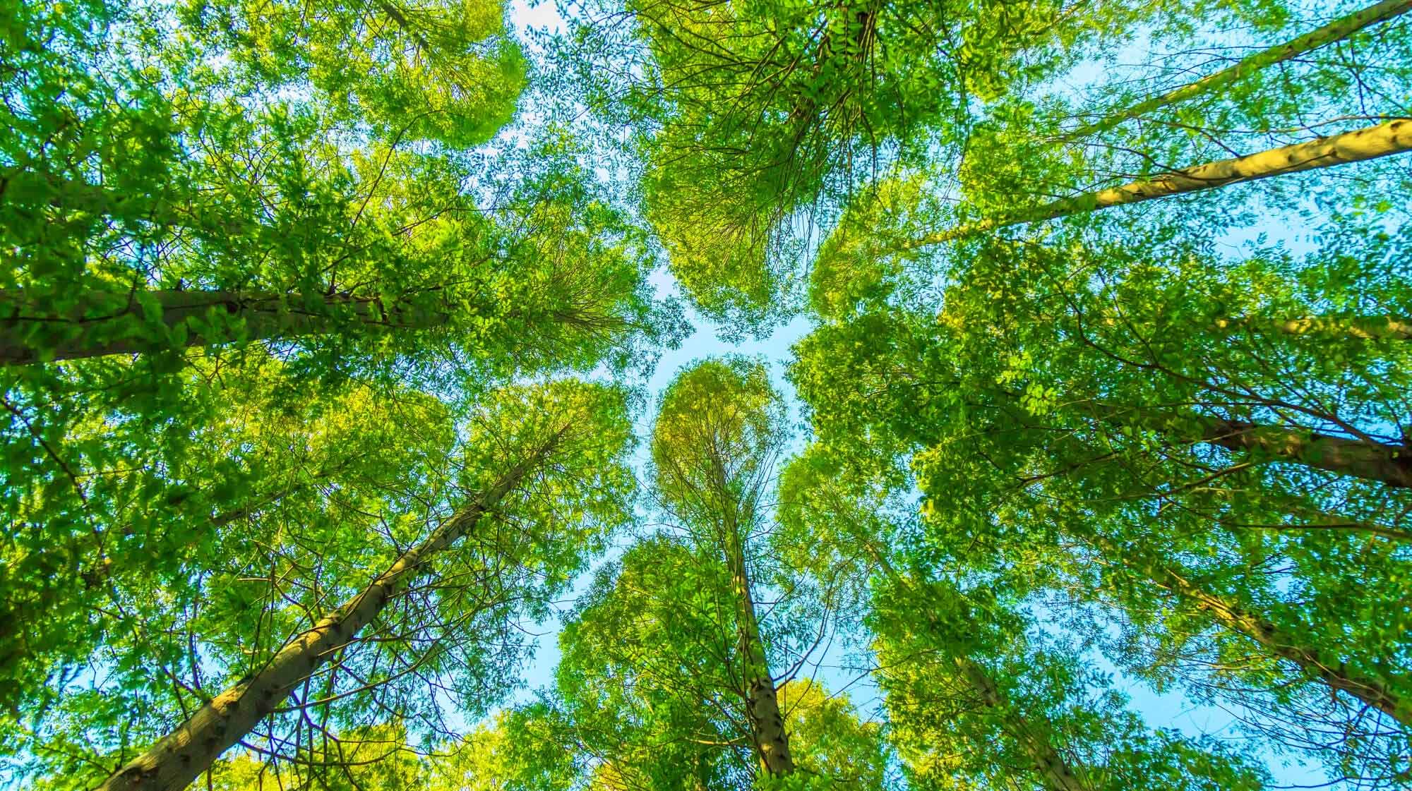 Proactive Environmental Risk Management