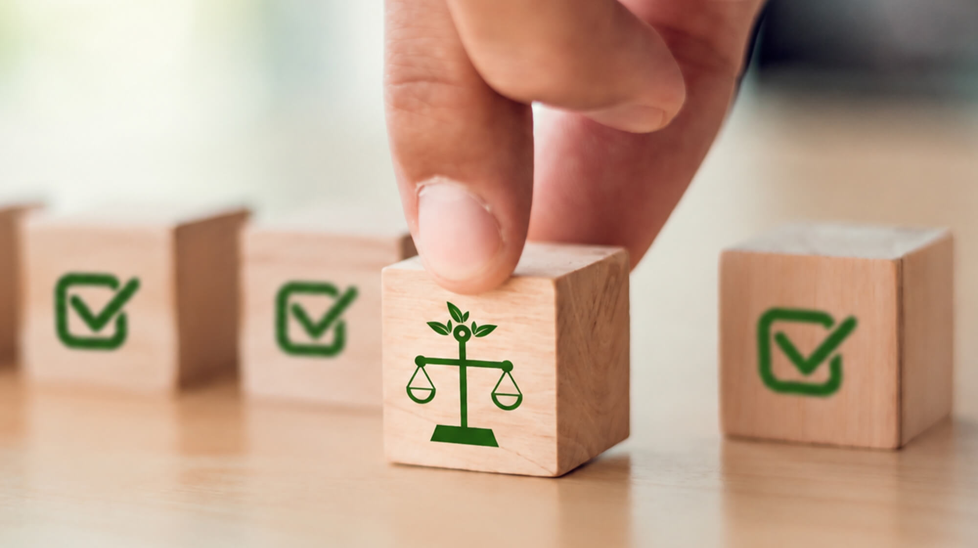 Regulatory Governance