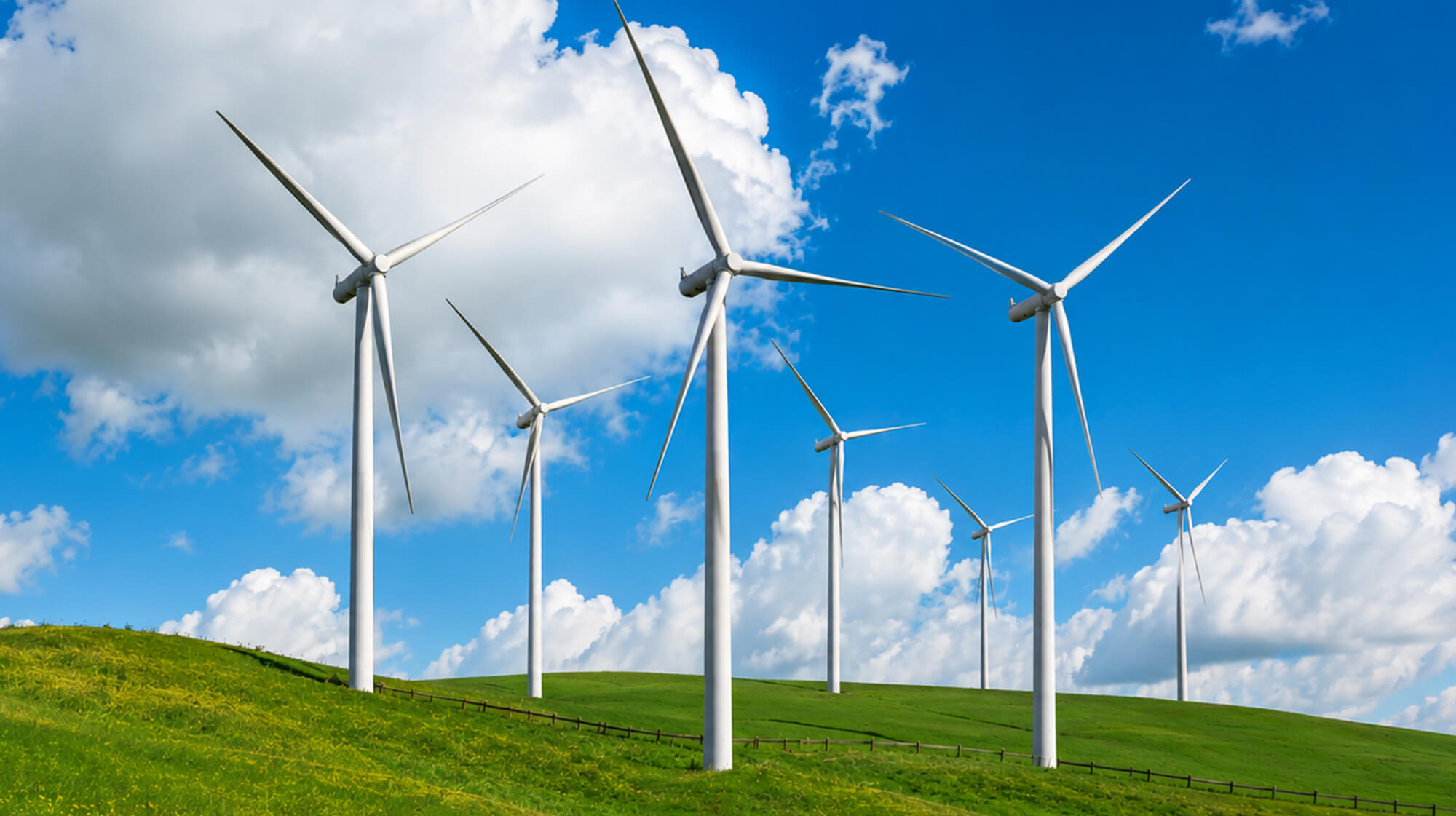 Elevating Sustainability Performance