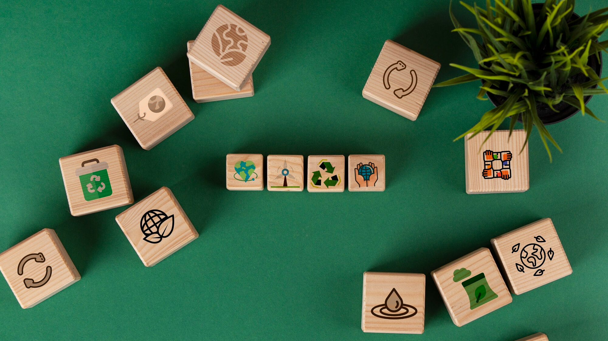 Sustainability Strategy and Integration