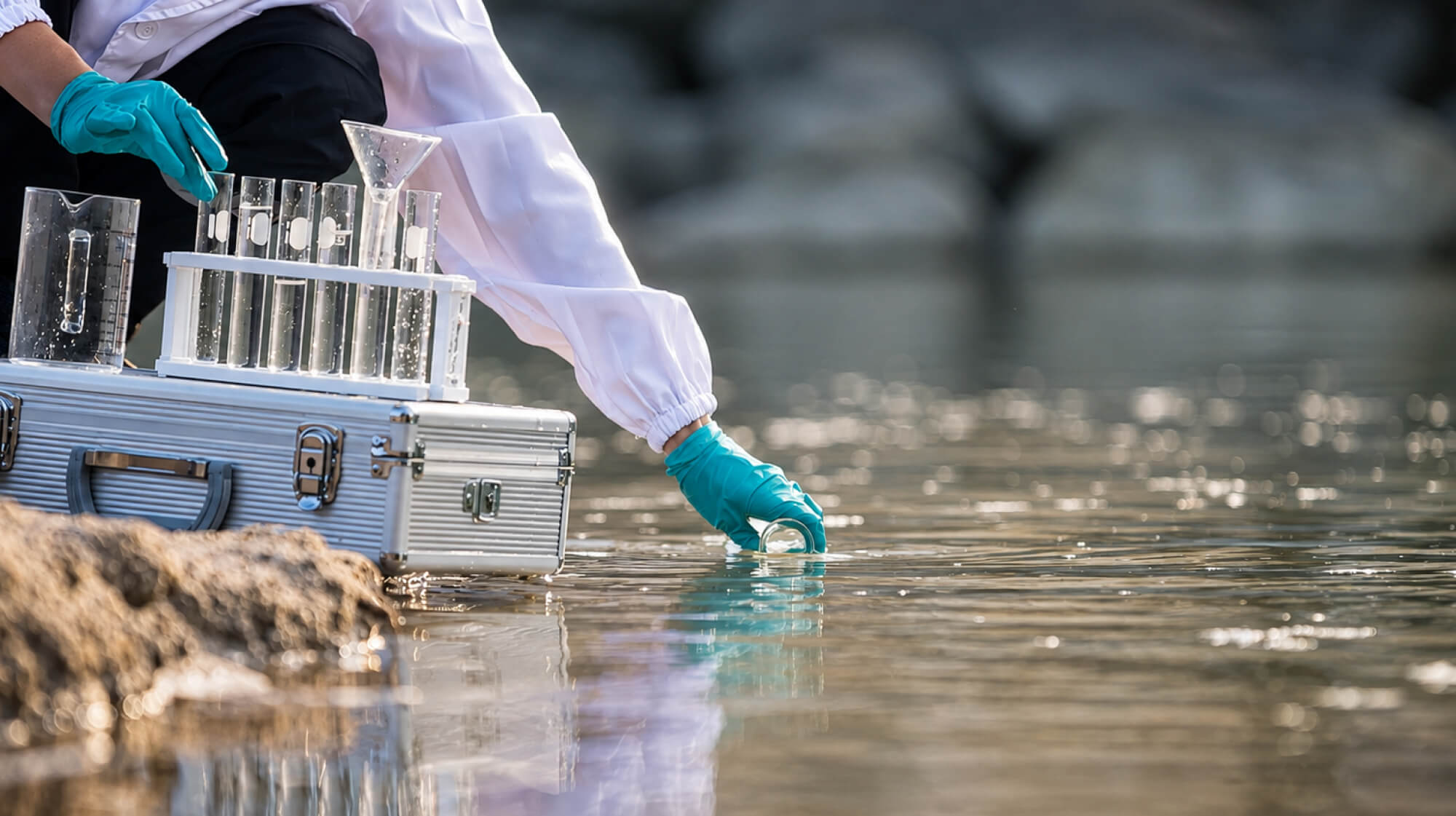 Water Stewardship and Natural Resource Management