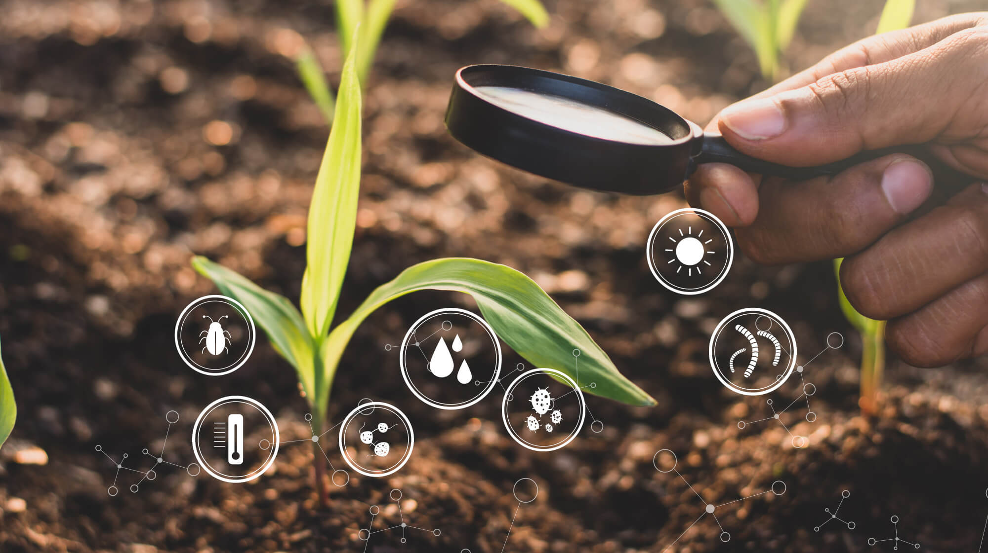 Water, Climate and Biodiversity Diagnostics