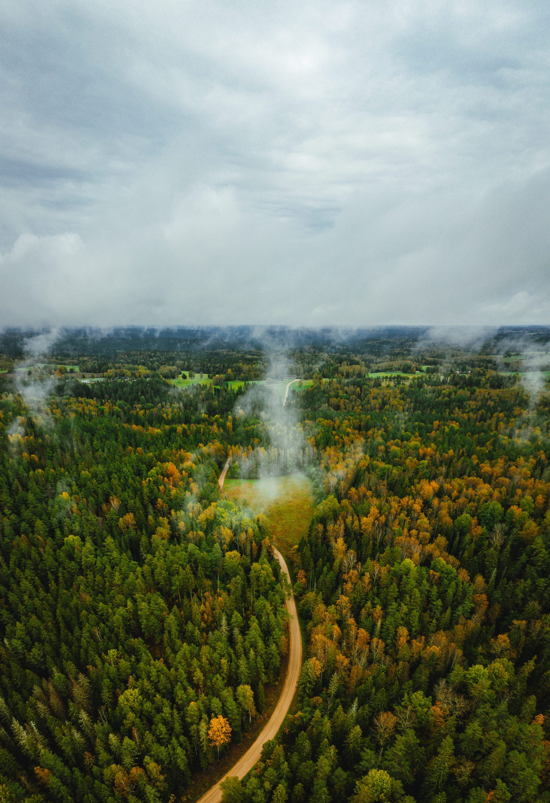 Climate Action initiatives